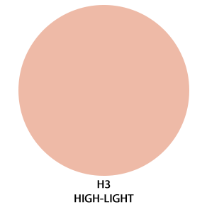 h3