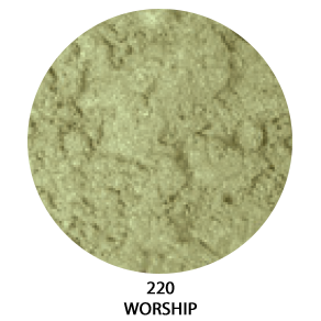 220-workship