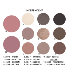 11-Well Eyeshadow/Blush Palette