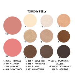 11-Well Eyeshadow/Blush Palette