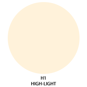 h1