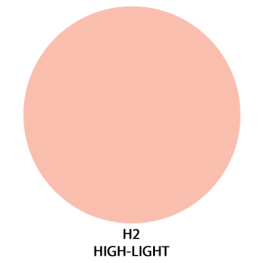h2