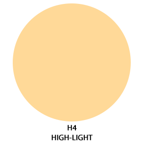 h4